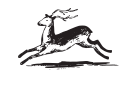 Antelope Logo