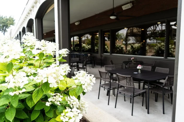 Outdoor patio at a restaurant with black tables and chairs, flower arrangements on tables, and blooming white hydrangeas in the foreground.